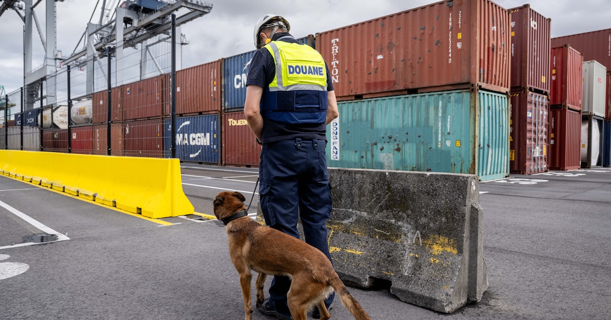 Ook stiptheidsactie bij douane Antwerpse haven uit onvrede over nieuwe ...