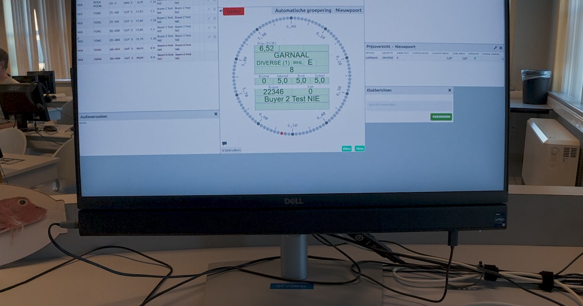 Nieuwpoortse Vismijn gaat digitaal met zijn veiling