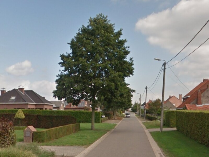 Meersstraat Stekene