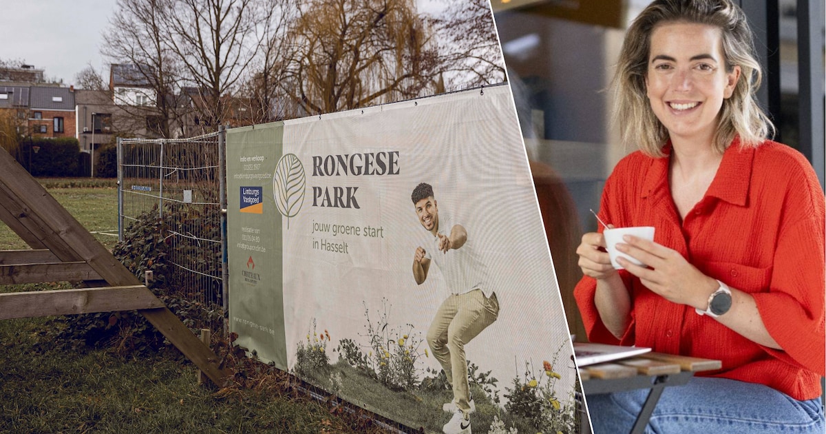 Groen rond de kathedraal en vergroening van het Rongese Park: dit zijn de plannen en grenzen van het