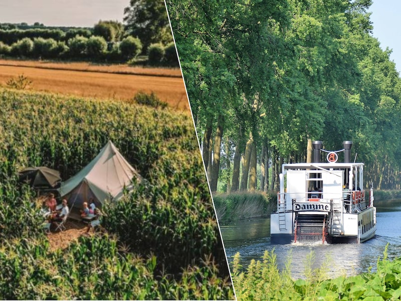 Geen strand, geen dijk, geen massa: 5 uitstappen die je West-Vlaanderen écht laten ontdekken