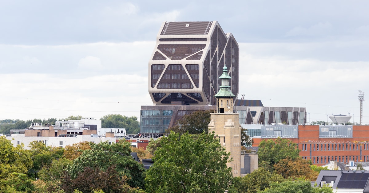 Ravage na nachtje Fitlink in Diepenbeek: bestuurder snuift cocaïne en crasht met de auto