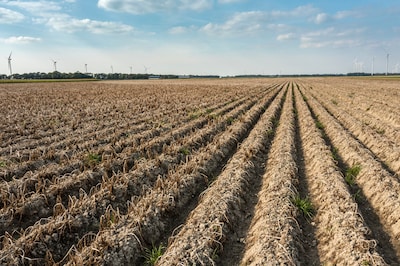 Code oranje voor droogte: waterbedrijven vragen om spaarzaam om te gaan met drinkwater