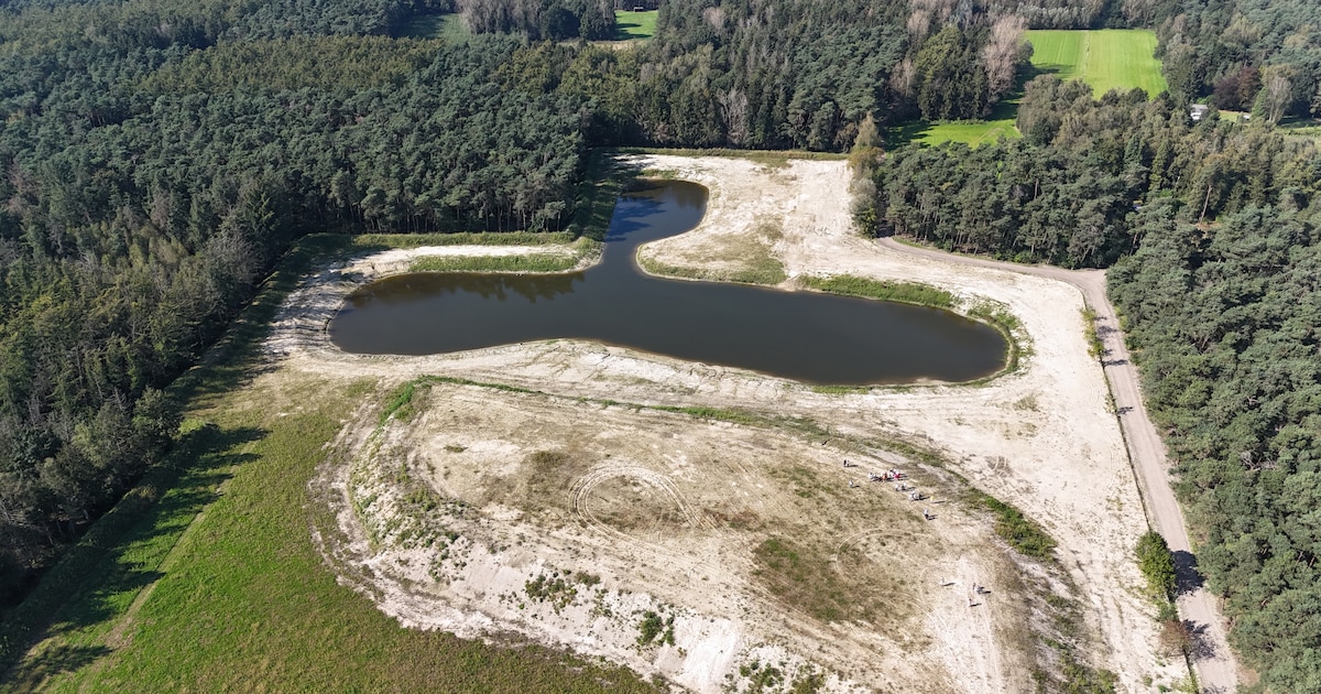 Natuurpunt verkent De Witte Bergen: “Twee nieuwe wandelingen door natuurgebied”