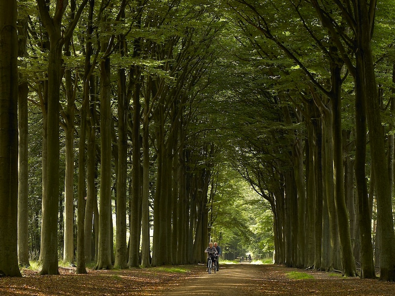 Westerlo en Kempens Landschap slaan handen in elkaar voor beheer van Beeltjens en Kwarekken