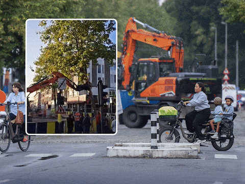 De elf omstreden bomen aan de Gitschotellei in het Antwerpse Deurne zijn vanochtend definitief gekapt (inzet).