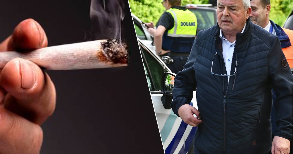 “Onze drugshond wordt dagelijks ingezet”: burgemeester duidt cijfers ...
