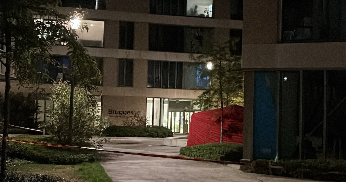 Persoon valt van derde verdieping serviceflatcomplex in Kapellen ...
