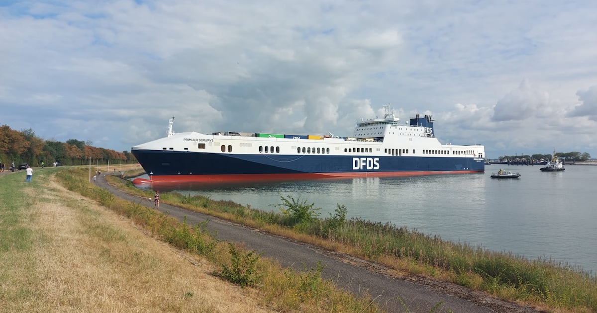 Zeeschip loopt vast in haven Terneuzen, sleepboten trekken het los