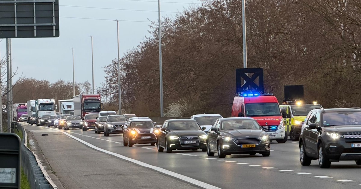 Nog kwartier file op E19 richting Brussel: aanschuiven vanaf Zemst ...