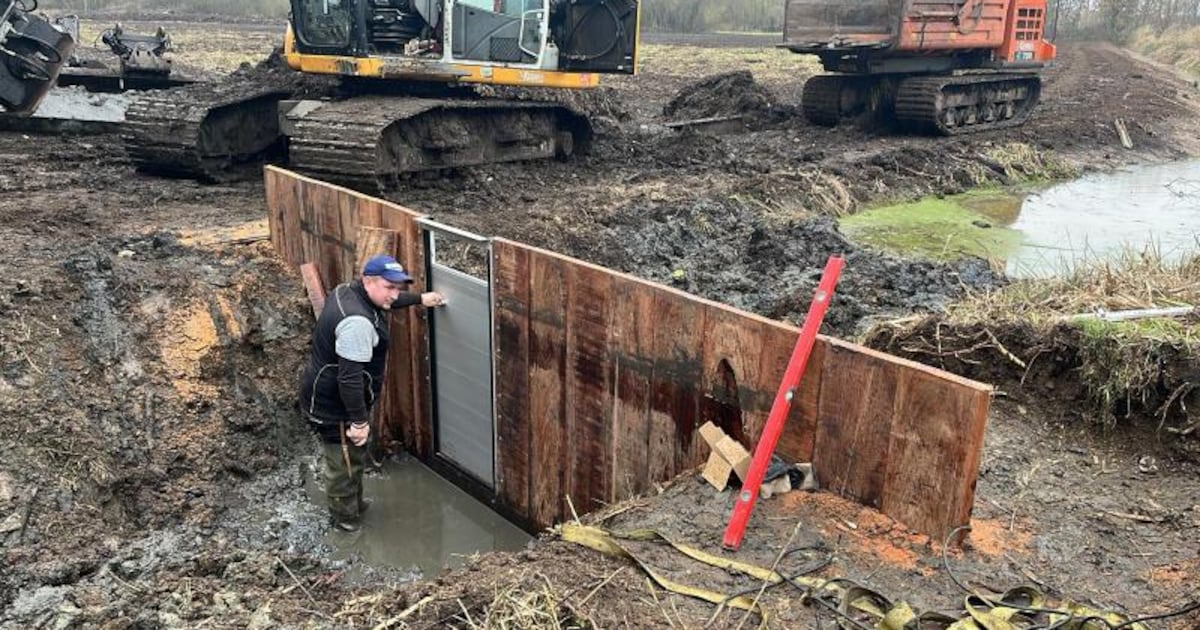 Natuurpunt herstelt wetlands in natuurgebieden in Mechelen en Zemst: “Herstellen het originele lands