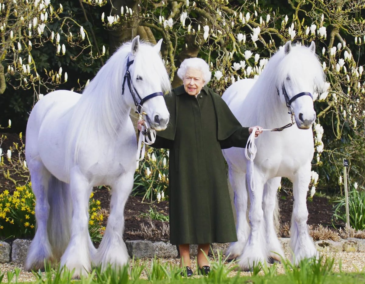 Sneu: het favoriete paard van wijlen koningin Elizabeth is op kerstavond overleden