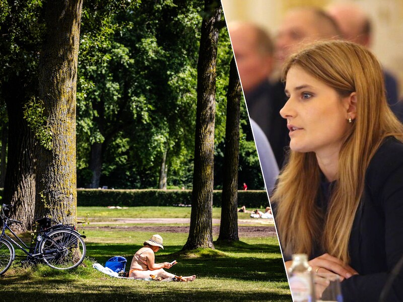 “Hittegolven zijn geen uitzondering meer”: Oppositie eist structureel hitteplan in Tienen, schepen heeft nog geen concrete plannen voor extra bomen