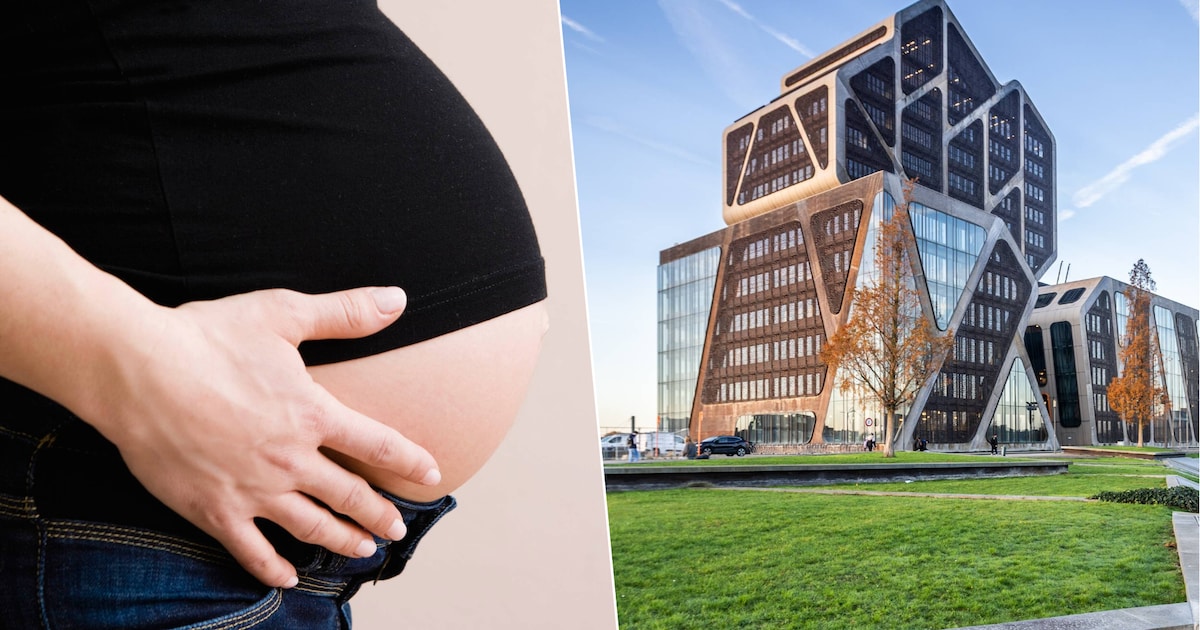 “Zij had een moeizame zwangerschap, hij zag zijn kans”: plunderde partner bedrijfsrekening voor zijn