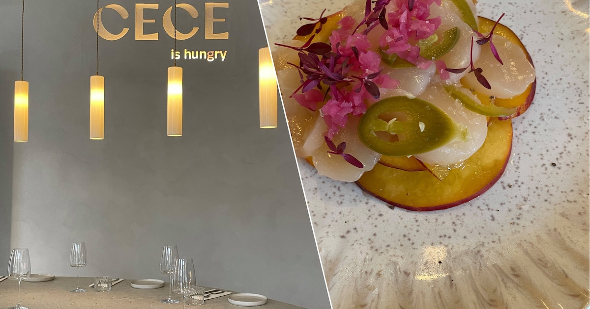 RESTOTIP. Cece is Hungry in Antwerpen: “Maandelijkse soirée met ...