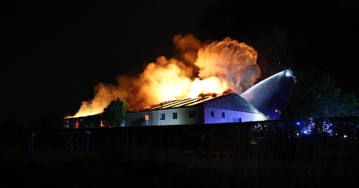 Boerderij en woning gaan in vlammen op bij zware brand, eigenaars kunnen paarden en koeien redden