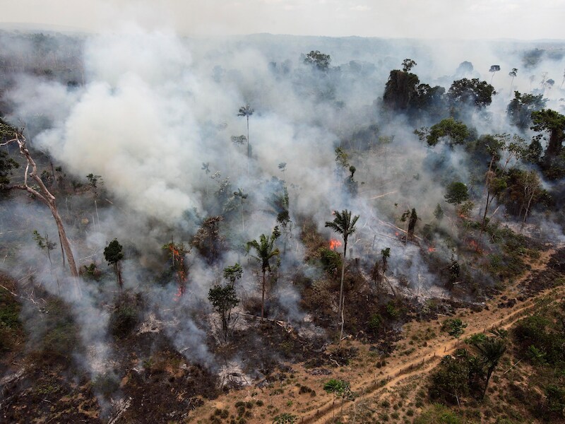Een foto uit 2009 toont hoe een stuk regenwoud in het noorden van Brazilië illegaal wordt platgebrand.