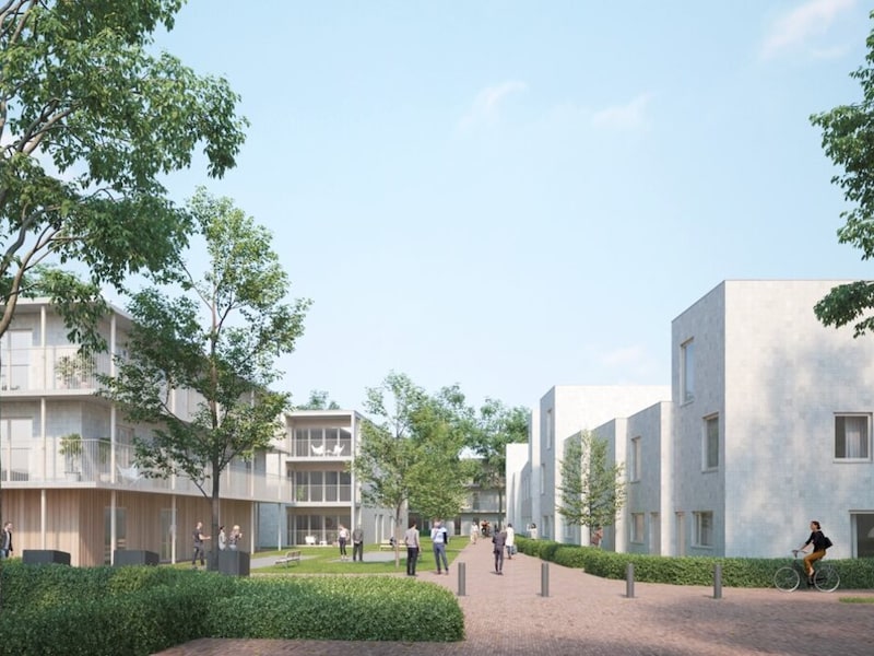 Na Het Venneke ook nog Venneveld en Vlinderveld? Brasschaats bestuur vindt nieuwe voorgestelde straatnamen zelf te verwarrend
