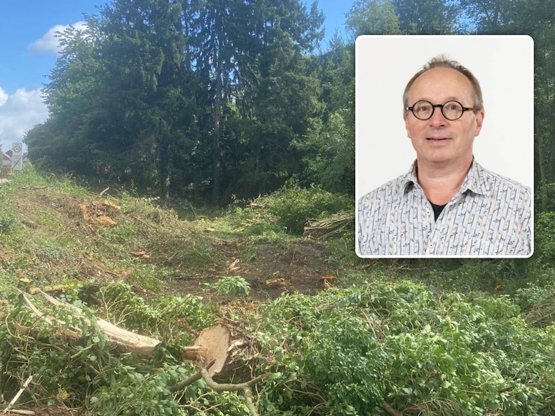 “Waarom plots zo snel en zo bruut?”: bomenkap om veiligheid in Abstraat te verhogen, botst op kritiek