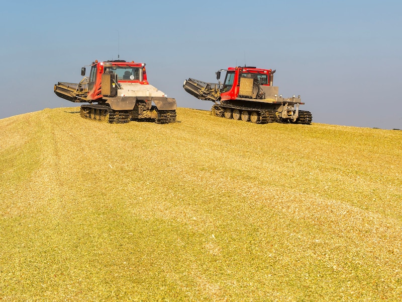 Biobrandstoffen stoten meer CO2 uit dan de fossiele brandstoffen die ze vervangen: “Verschrikkelijke klimaatoplossing”
