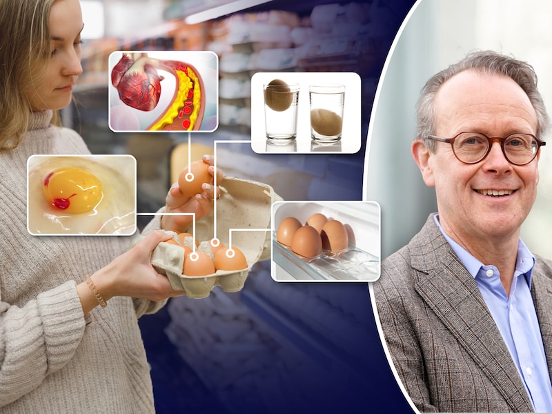 Professor Frank Devlieghere tipt hoe je verse eieren herkent en wanneer je eieren best laat liggen.
