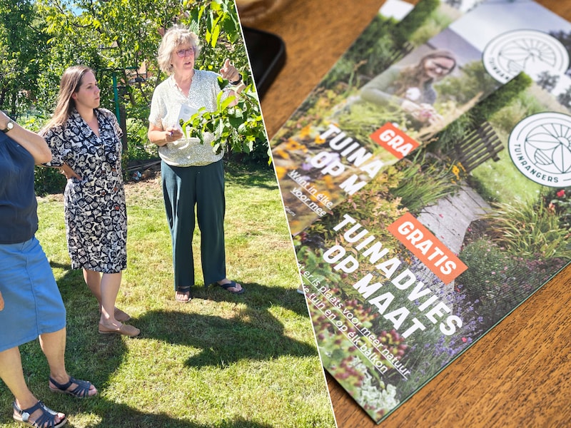 “Wie nu plant, geniet in het voorjaar én helpt de natuur”: experts geven gratis advies voor fruitbomen in je tuin