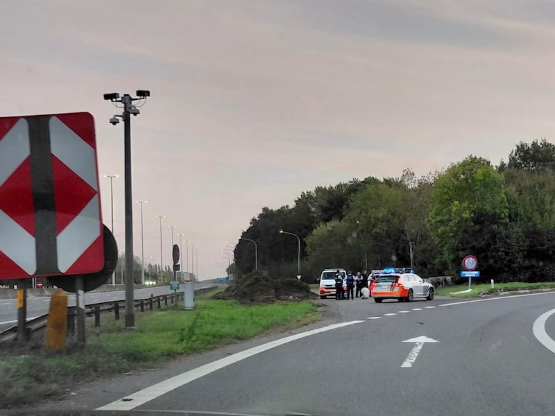 Het trio werd gevat op een dienststrook tussen de op- en afrit van de E403 in Wevelgem.