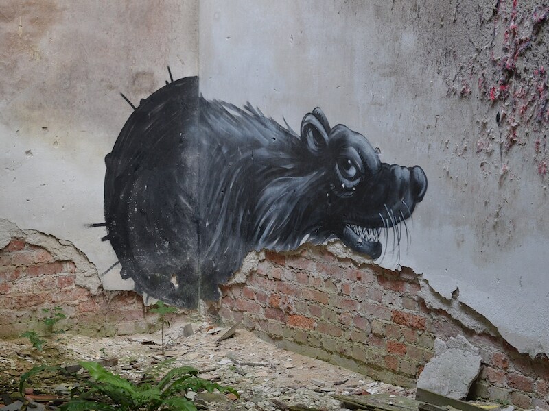 Een ROA-schildering op een afbrokkelende muur in de Gentse Malmarfabriek.