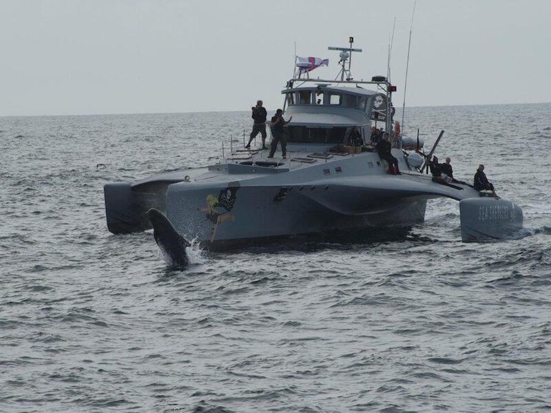 De Brigitte Bardot, het huidige interventieschip van Sea Shepherd, liep vorige winter zware averij op.