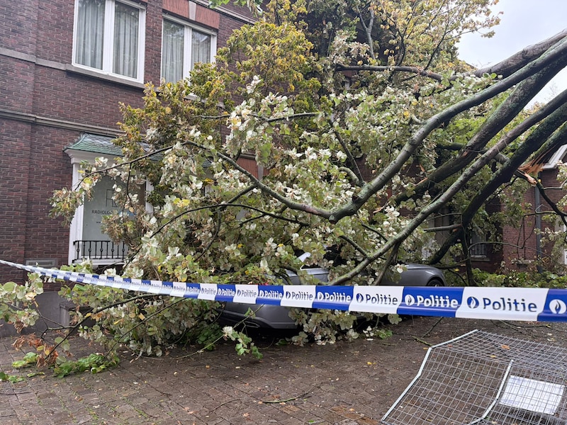 Een deel van een boom kwam op een wagen terecht in het centrum van Wevelgem.