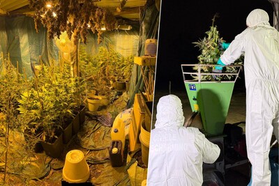 Cannabisplantage ontdekt in lokaal naast voetbalclub VK Heindonk: “Stroom afgetapt van openbare verlichting”