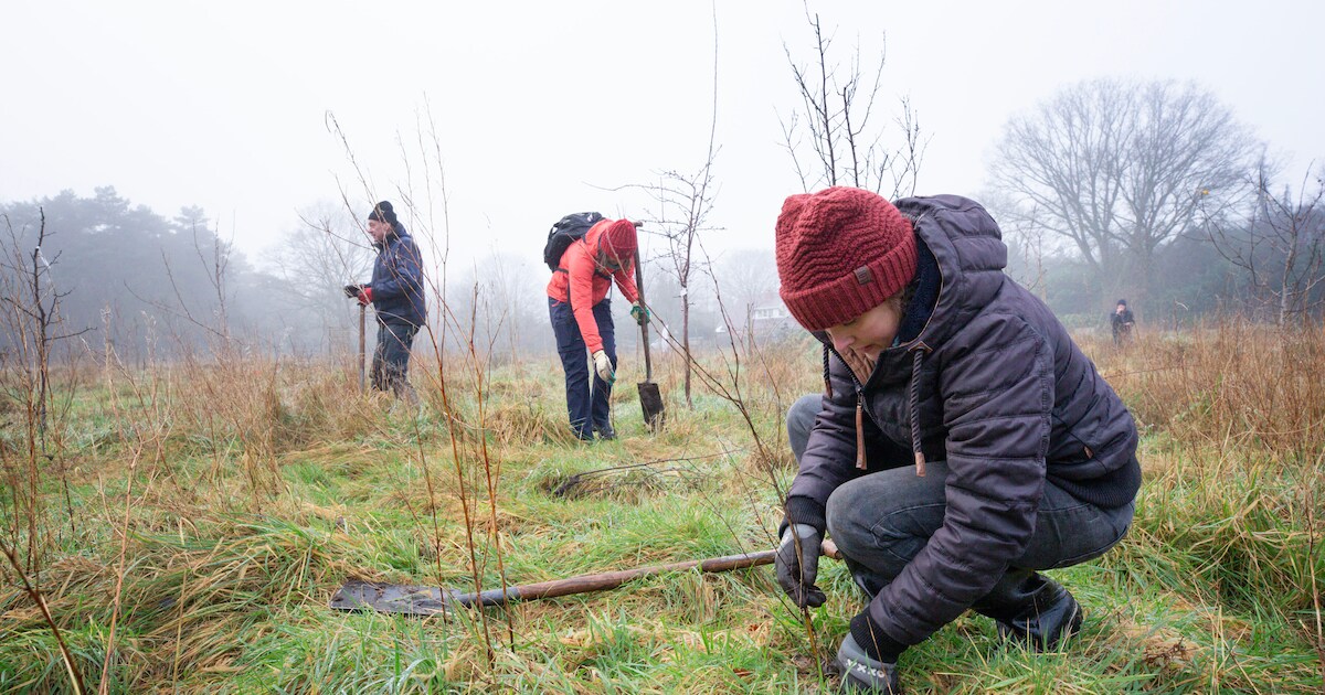 1200 jonge bomen moeten straks een nieuw voedselbos bij Galder gaan vormen