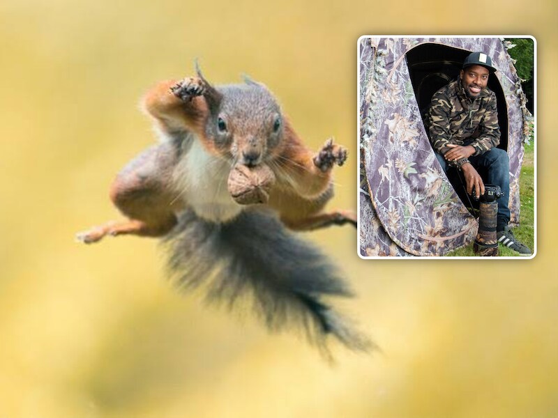Natuurfotograaf Niki uit Genk wint zilver op World Photography Cup met vliegende eekhoorn