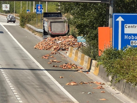 Een vrachtwagen heeft zijn lading slachtafval verloren op de Antwerpse Ring richting Gent, ter hoogte van Antwerpen-Zuid
