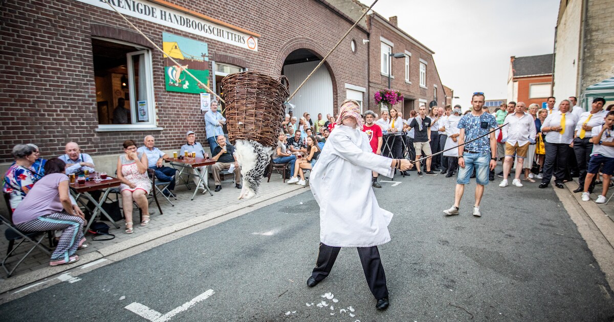 Riemst doet weer aan ‘haanslaan’ op jaarlijkse kermis | Regio | HLN.be