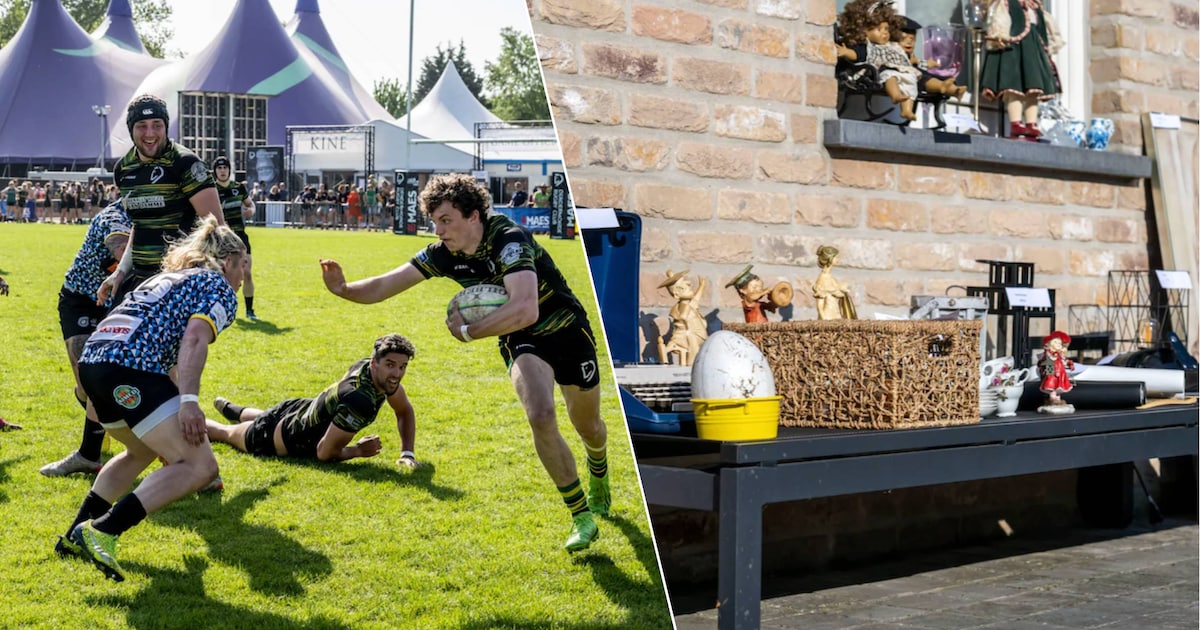 Wat te doen in het Waasland en Dendermonde dit weekend: rugby, closet ...