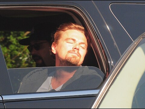 Leonardo DiCaprio.