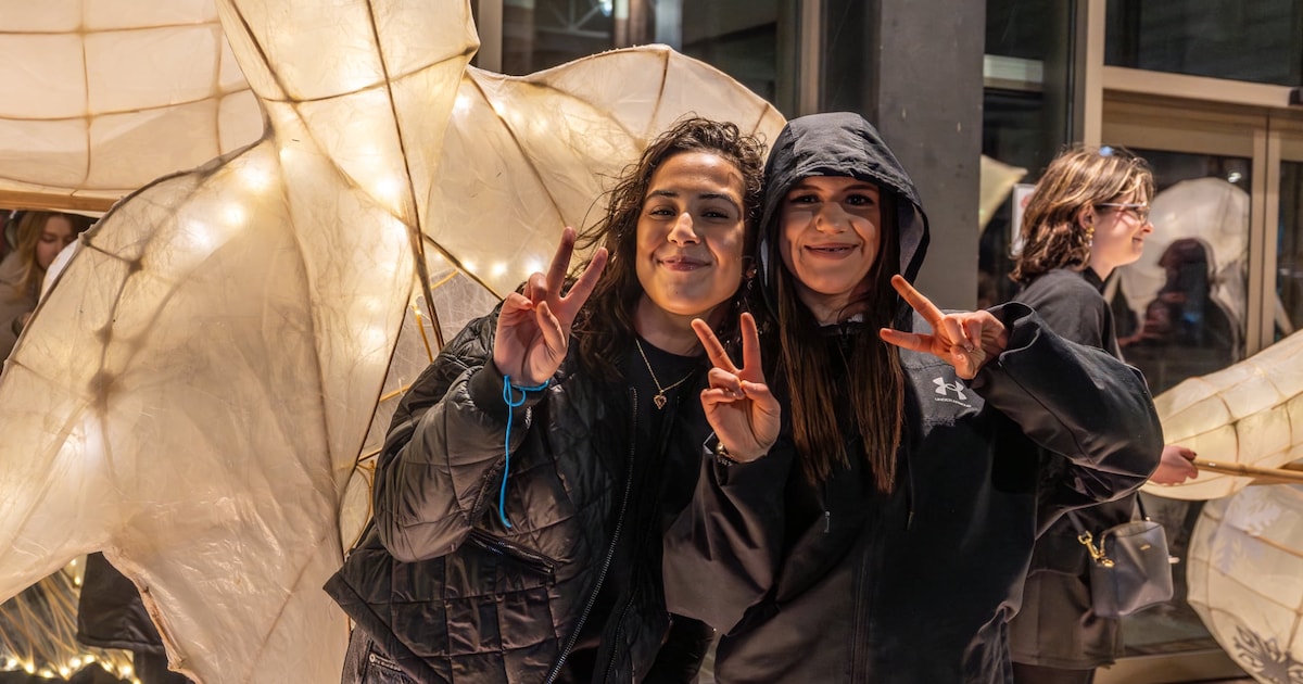 Lichtsculpturen verlichten Aalsterse straten op de vooravond van het Sint-Maartenfeest