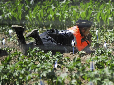 Op 29 mei 2011 voerden ruim 250 milieu-activistenen actie op een veld met genetisch gewijzigde aardappelplantjes in Wetteren.