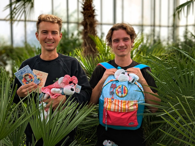 Diddl-ruilbeurs in tuincentrum Flora-Marckx in Aalst: “De hype is helemaal terug”