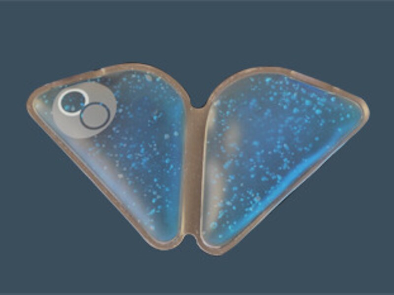 SnowWedges