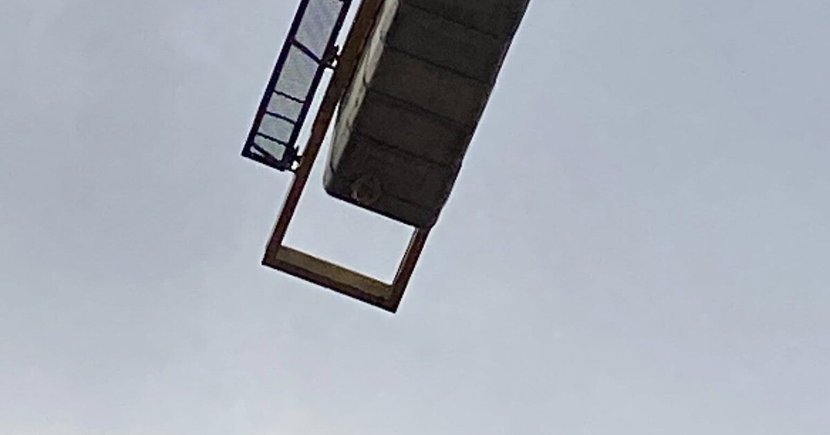 Nu ook nest van Aziatische hoornaar gespot op torenkraan in Oostende