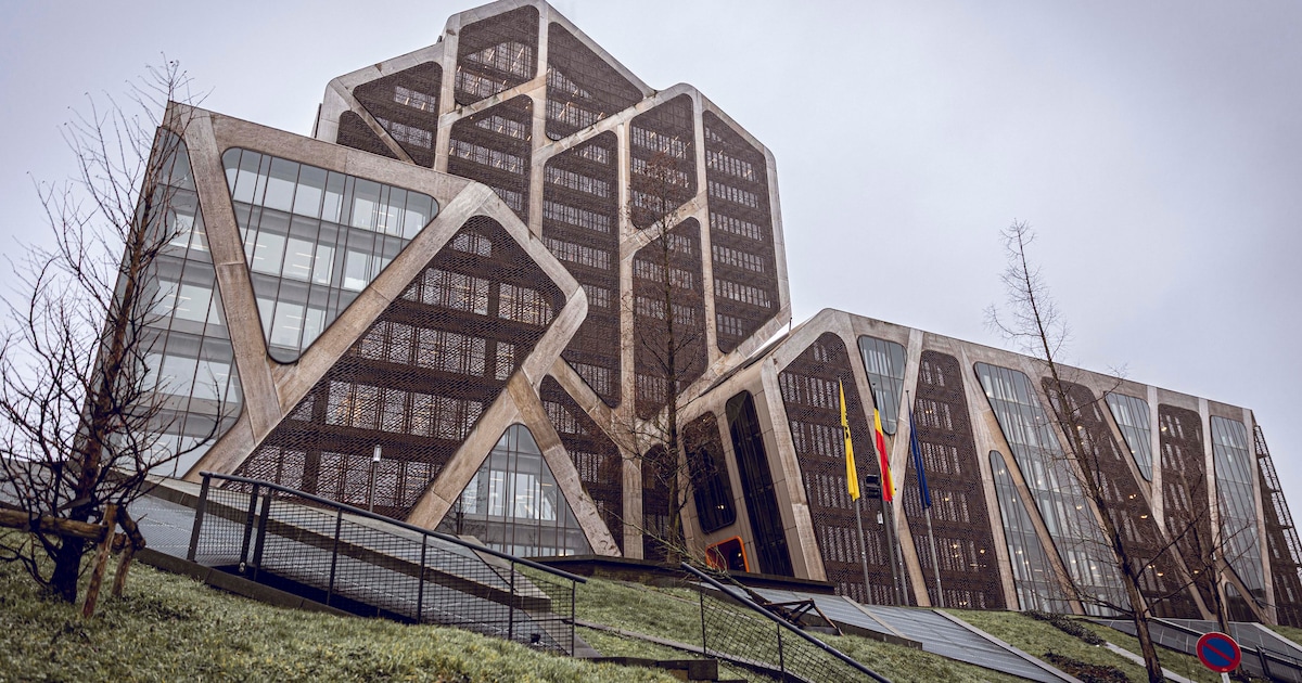 Drie mannen voor rechtbank na vondst van 100 flessen sterke drank en 130 pakken chocolade: “Het was 