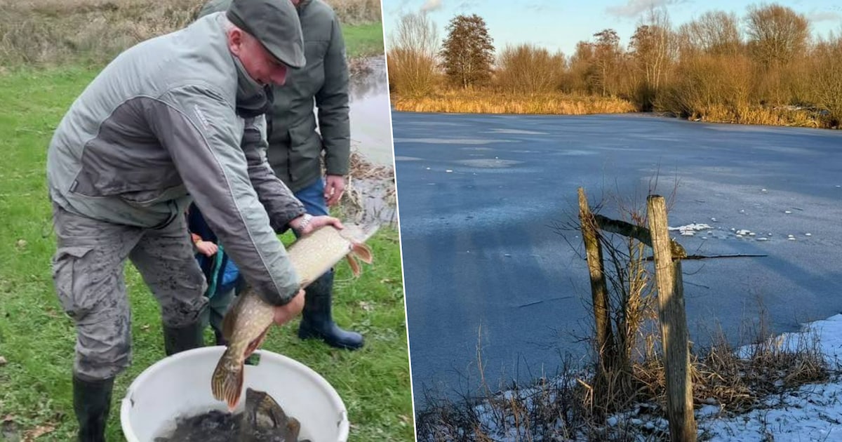 Start van het visseizoen in Paddenbroek op 1 april: vraag nu je ...