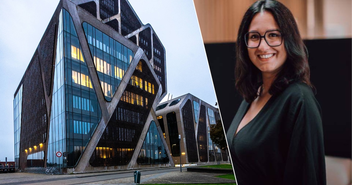 Limburger (39) gaf nichtje (12) zelfs vibrator, maar niemand wil een echt zware straf voor hem: “Hij