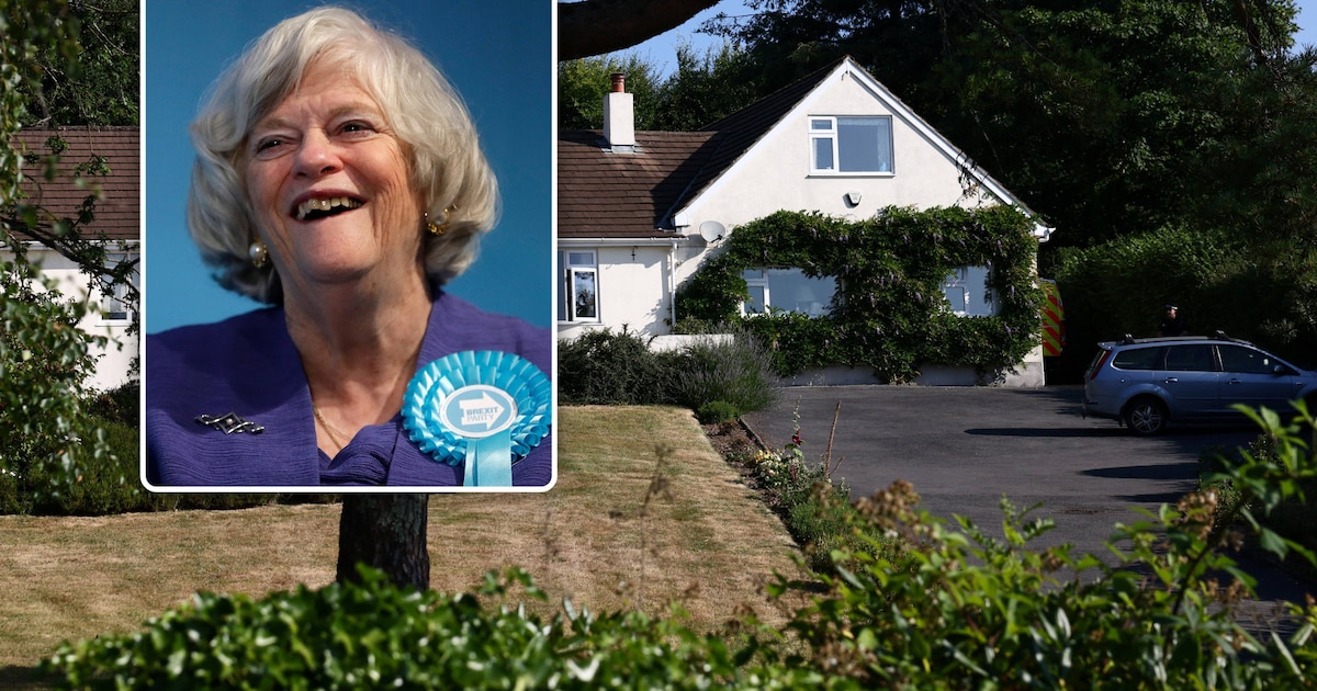 Moord op Britse Ann Widdecombe vastgelegd op camera, beelden tonen 21 ...