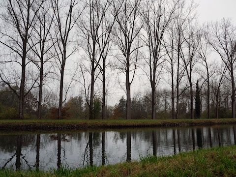 Jaagpad langs de Leuvense vaart. 