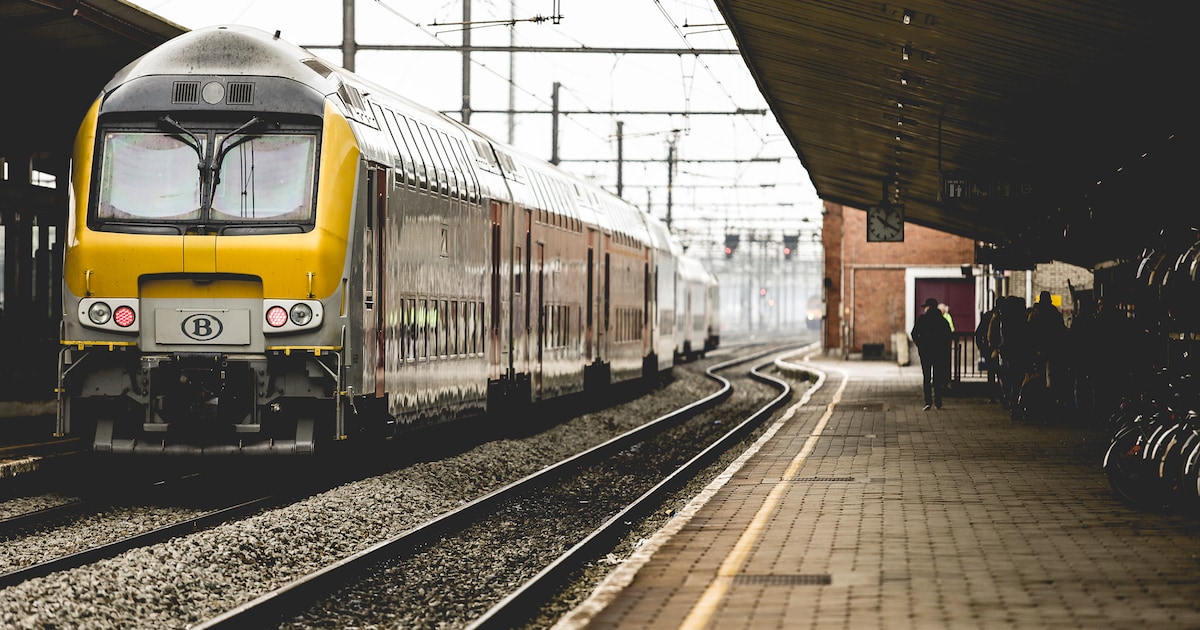 In februari vijf dagen geen treinen tussen Hasselt en Tongeren: NMBS zet vervangbussen