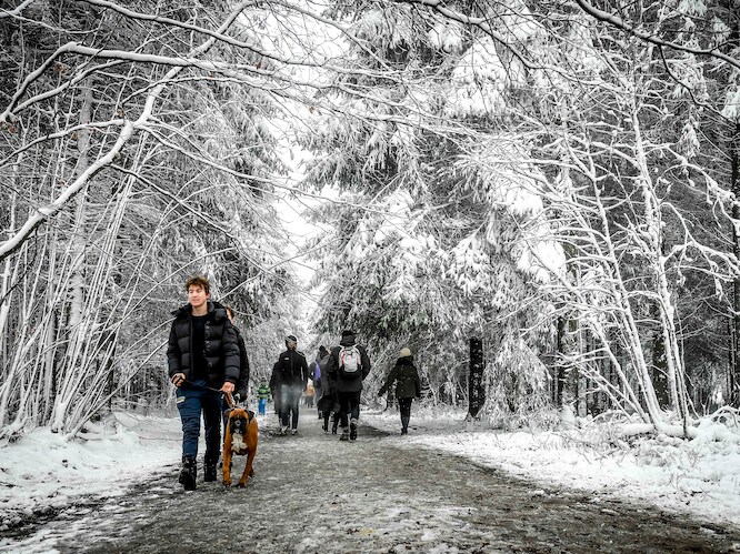 “Kans op sneeuw met kerst dit jaar 15 tot 25 procent”