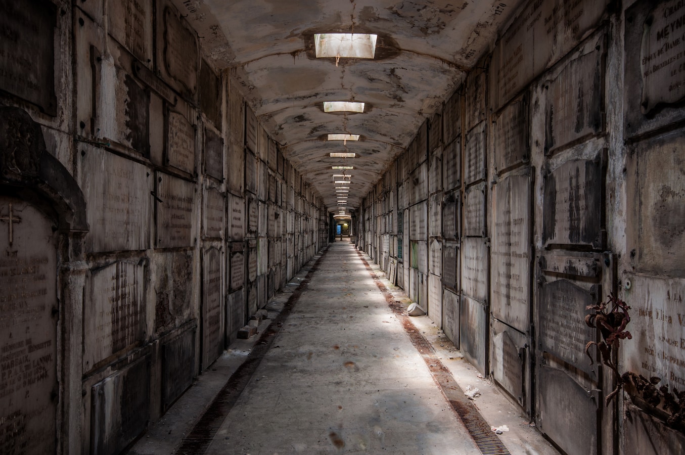 Recent questions in puzzel